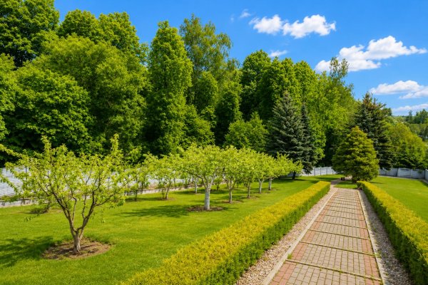 Продается дом д. Волковичи, Адгама Каримова ул. - фото 7