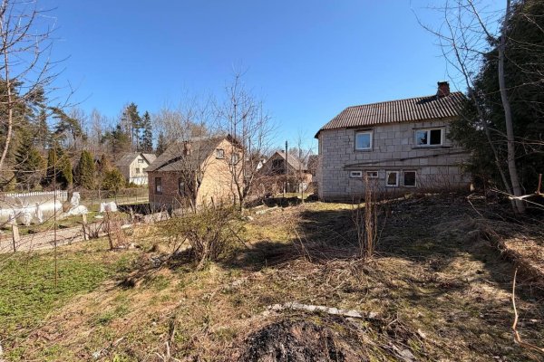 Продается дача с/т. Птичь, , д. 61 - фото 6