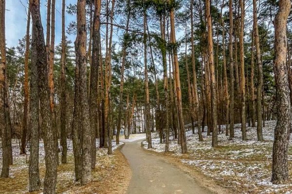 1-комнатная квартира по адресу Ангарская ул., д. 50 - фото 16