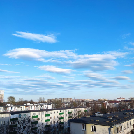 Фотография 1-комнатная квартира по адресу Менделеева ул., д. 25 - фото 9