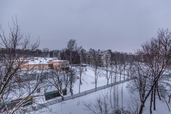 2-комнатная квартира по адресу Пушкина просп., д. 19 - фото 4