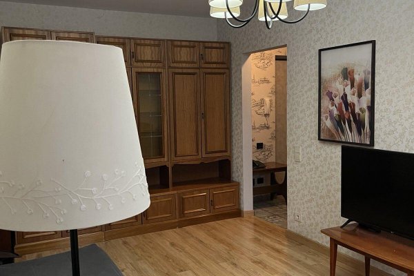 1-комнатная квартира по адресу Левкова ул., д. 13 - фото 13