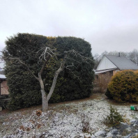 Фотография Продается дача с/т. Сосны-Сад - фото 13