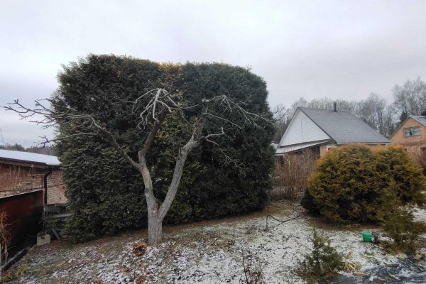 Продается дача с/т. Сосны-Сад - фото 13