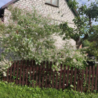 Фотография Продается дача с/т. Сосны-Сад - фото 11