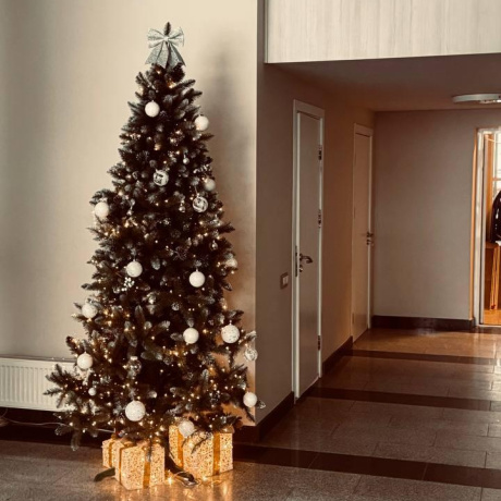 Фотография 3-комнатная квартира по адресу Мира просп., д. 6 - фото 13