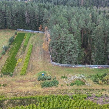 Фотография Продается производственное/складское помещение по адресу д. Захаричи, , - фото 3