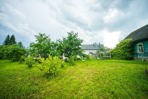 Продается дом д. Недреска, Центральная ул. - фото 1