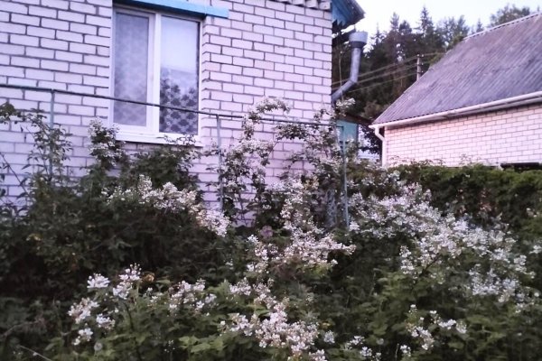 Продается дом с/т. Физик - фото 1