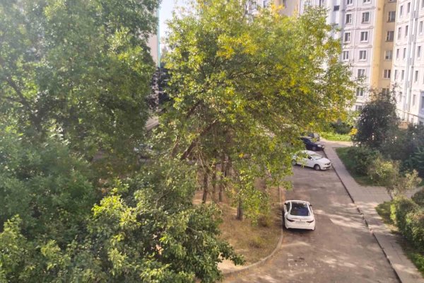 1-комнатная квартира по адресу Кунцевщина , 4 - фото 8