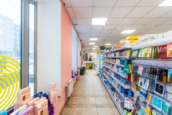 Торговое помещение 234 м.кв. на 1 этаже возле ст.м. Академия наук - фото 6