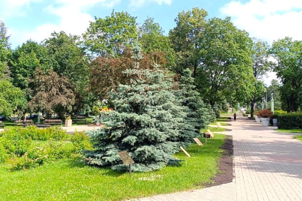 Деловой центр  у метро  Якуба Коласа - фото 9