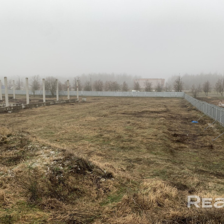 Фотография Купить готовый бизнес, п. Дружный (Пуховичский р-н, Минская область) - фото 6