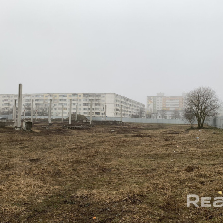 Фотография Купить готовый бизнес, п. Дружный (Пуховичский р-н, Минская область) - фото 4