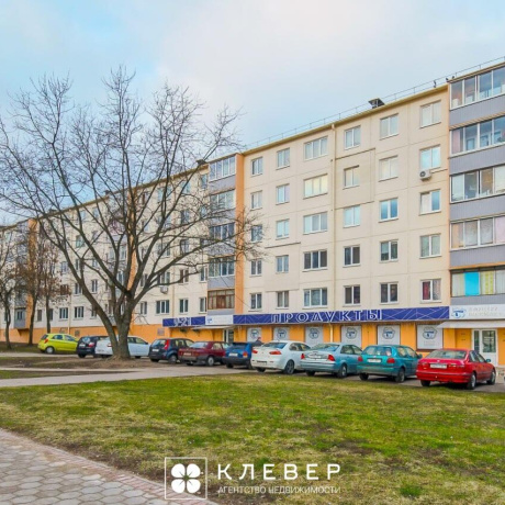 Фотография 4-комнатная квартира по адресу Пушкина просп., д. 79 - фото 1