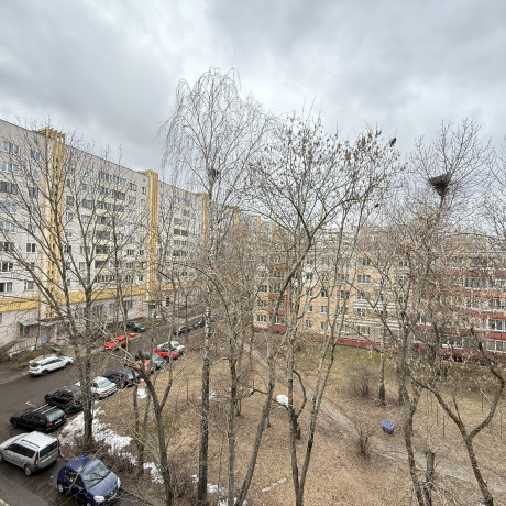 Фотография 2-комнатная квартира по адресу Рокоссовского просп., д. 53 - фото 16