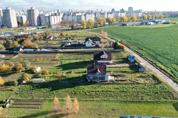 Продается дом д. Дворицкая Слобода, Полевая ул., д. 4 - фото 7