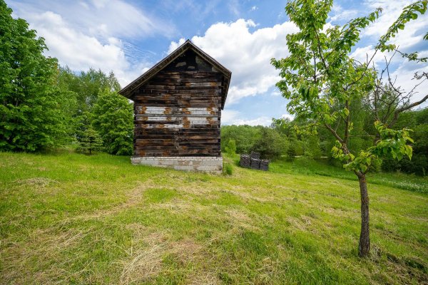 Продается участок д. Кирши - фото 3