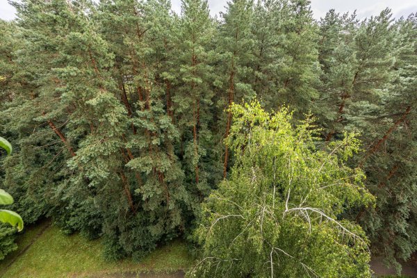 1-комнатная квартира по адресу Нестерова ул., д. 84 - фото 12