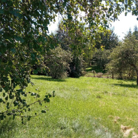 Фотография Продается дом аг. Колодищи, Мичурина ул., д. 5 - фото 8