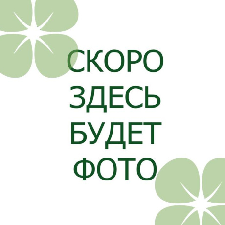 Фотография 1-комнатная квартира по адресу Лейтенанта Кижеватова ул., д. 1 - фото 2