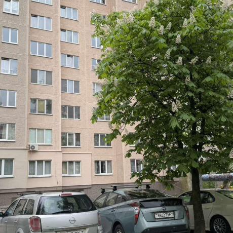 Фотография 1-комнатная квартира по адресу Якубова ул., д. 30 - фото 2