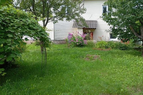Продается дача с/т. Экономист-3 - фото 3