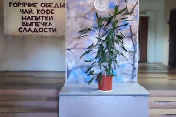 Сдается офисное помещение по адресу г. Минск, Домашевский пер., д. 9 - фото 2