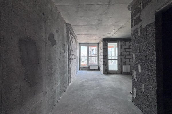 1-комнатная квартира по адресу Жореса Алфёрова ул., д. 5 - фото 3