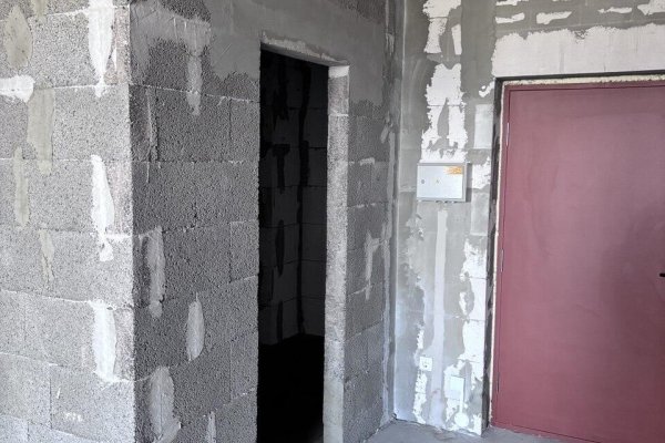 1-комнатная квартира по адресу Жореса Алфёрова ул., д. 5 - фото 9