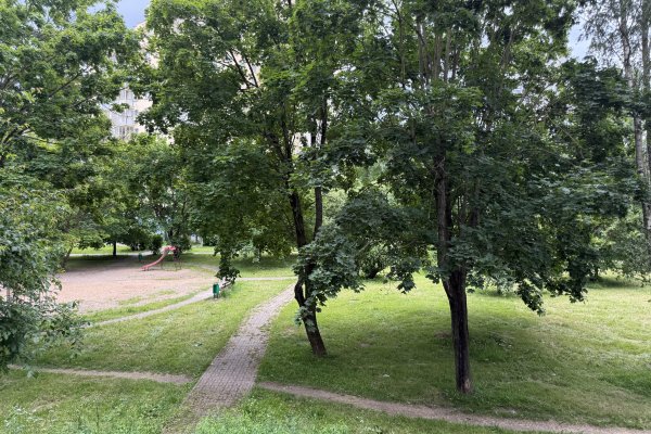 1-комнатная квартира по адресу Правда газеты просп., д. 14 - фото 7