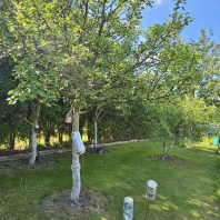 Фотография Продается дом п. Городище, Ясная ул., д. 29 - фото 10