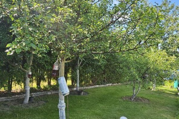 Продается дом п. Городище, Ясная ул., д. 29 - фото 10