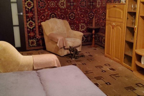 2-комнатная квартира по адресу Плеханова ул., д. 115 - фото 13