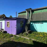 Фотография Продается дом д. Дворицкая Слобода, Зеленая ул., д. 31 - фото 2