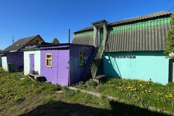 Продается дом д. Дворицкая Слобода, Зеленая ул., д. 31 - фото 2