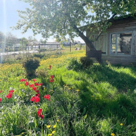 Фотография Продается дом д. Дворицкая Слобода, Зеленая ул., д. 31 - фото 6