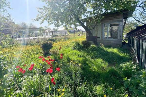 Продается дом д. Дворицкая Слобода, Зеленая ул., д. 31 - фото 6