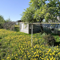 Фотография Продается дом д. Дворицкая Слобода, Зеленая ул., д. 31 - фото 10