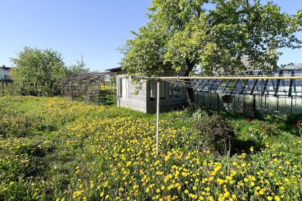 Продается дом д. Дворицкая Слобода, Зеленая ул., д. 31 - фото 10