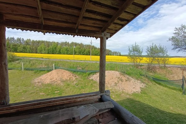 Продается участок д. Заямочное, Центральная ул. - фото 7