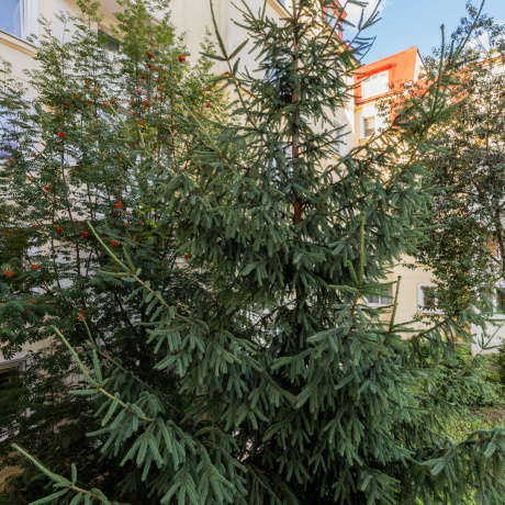 Фотография 1-комнатная квартира по адресу Некрасова ул., д. 28 - фото 16