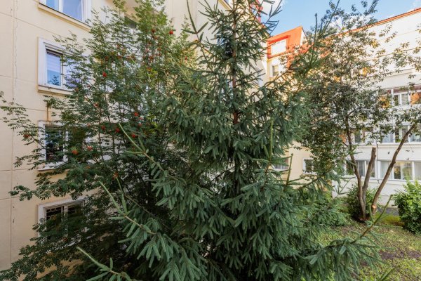 1-комнатная квартира по адресу Некрасова ул., д. 28 - фото 16