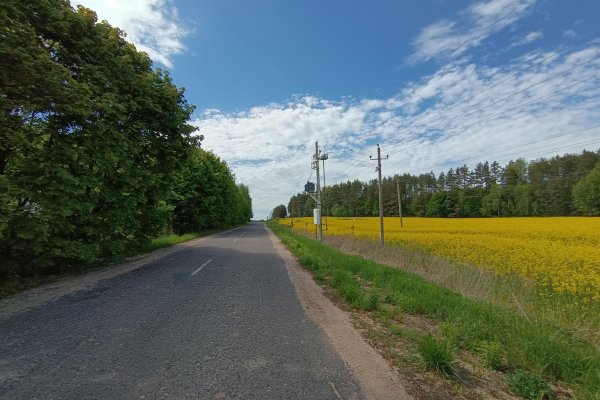 Продается участок д. Заямочное, Центральная ул. - фото 12