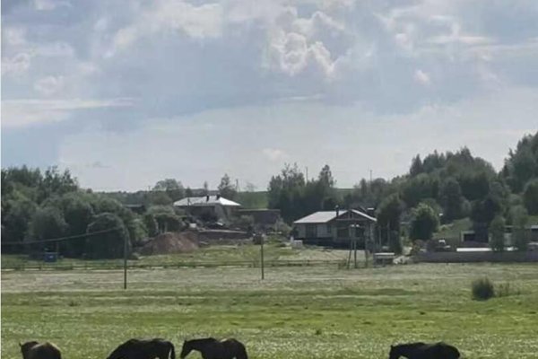 Продается коттедж д. Ляховщина, Центральная ул., д. 46 к. А - фото 8