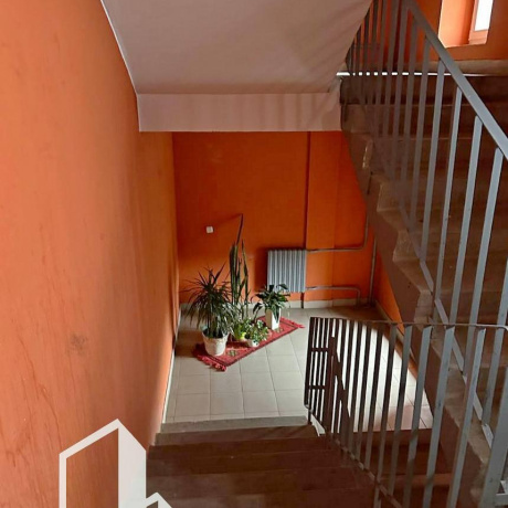 Фотография 1-комнатная квартира по адресу Молодежная ул., д. 9 - фото 20