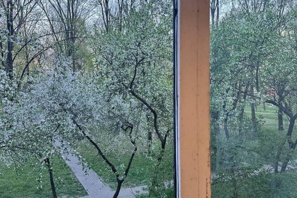 1-комнатная квартира по адресу Восточная ул., д. 26 - фото 7