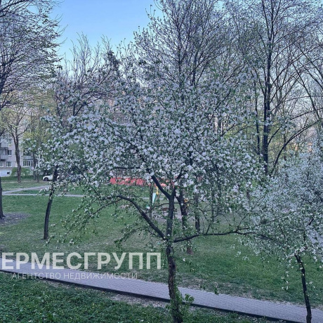 Фотография 1-комнатная квартира по адресу Восточная ул., д. 26 - фото 8