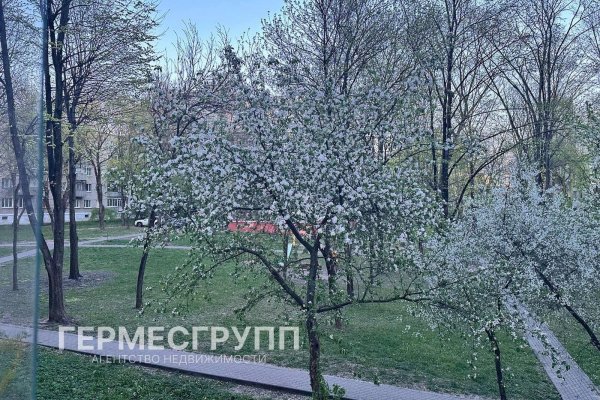 1-комнатная квартира по адресу Восточная ул., д. 26 - фото 8