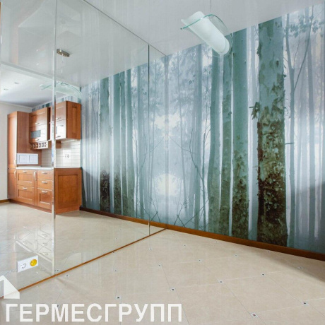 Фотография 2-комнатная квартира по адресу Лобанка ул., д. 88 - фото 6
